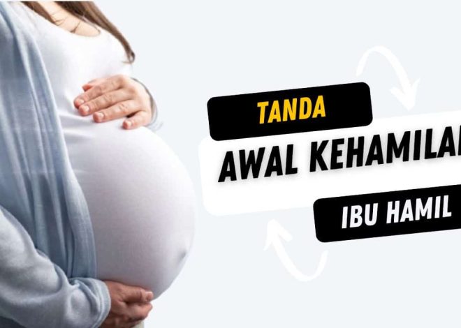 The first signs of pregnancy, the mother will need to know