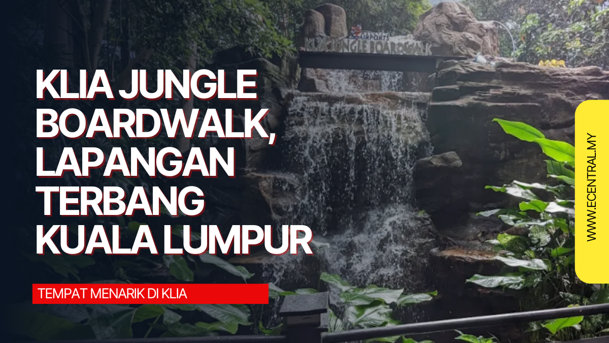 KLIA JUNGLE BOARDWALK – An interesting place in KLIA