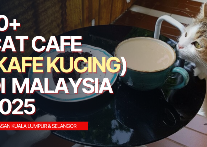 List of Cafe Cat in Malaysia 2025 (KL & Selangor)