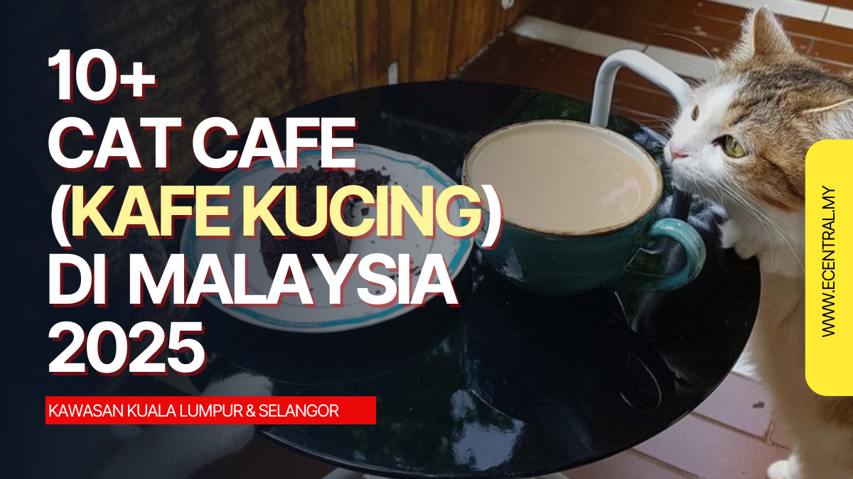 List of Cafe Cat in Malaysia 2025 (KL & Selangor)