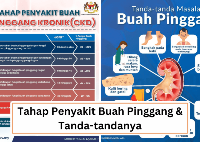 Kidney Disease Level & Silent Signs You Need to Know