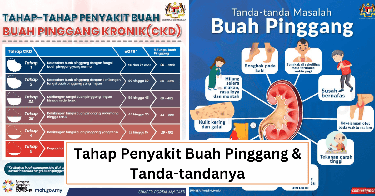 Kidney Disease Level & Silent Signs You Need to Know