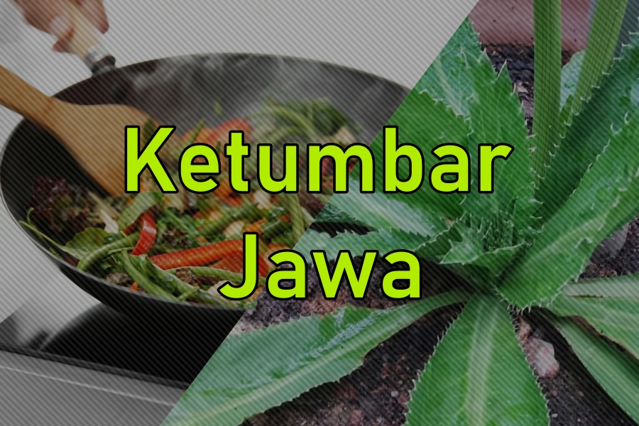 Use in cooking, nutrition, profit