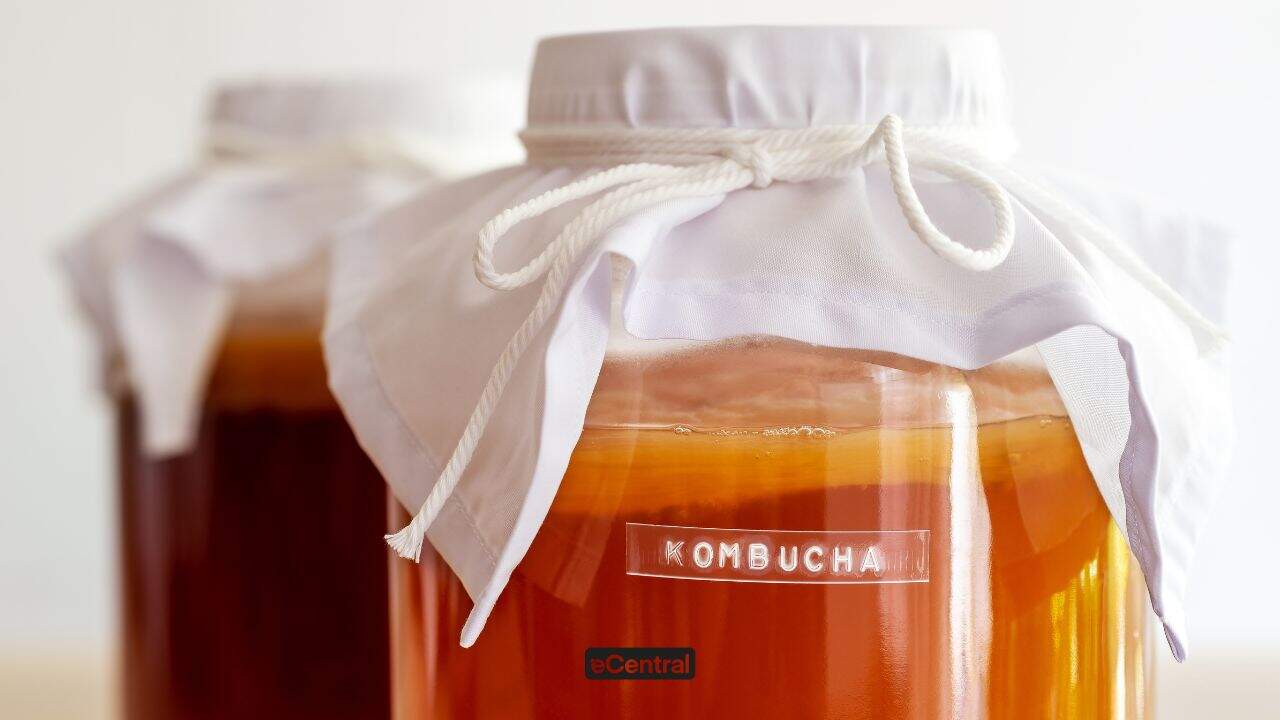 Kombucha: 7 Extraordinary benefits & how to make it at home