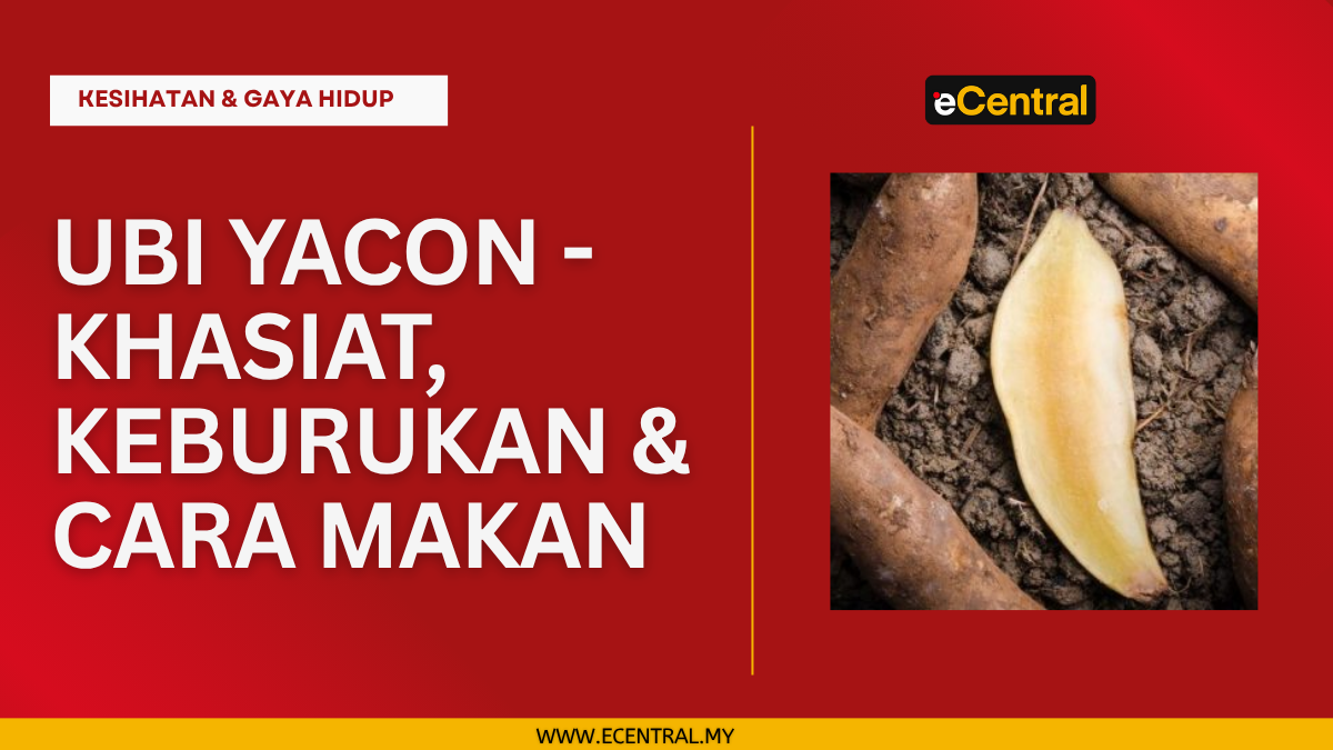 Yacon Potato – 6 Main Benefits, Losses & How to Eat