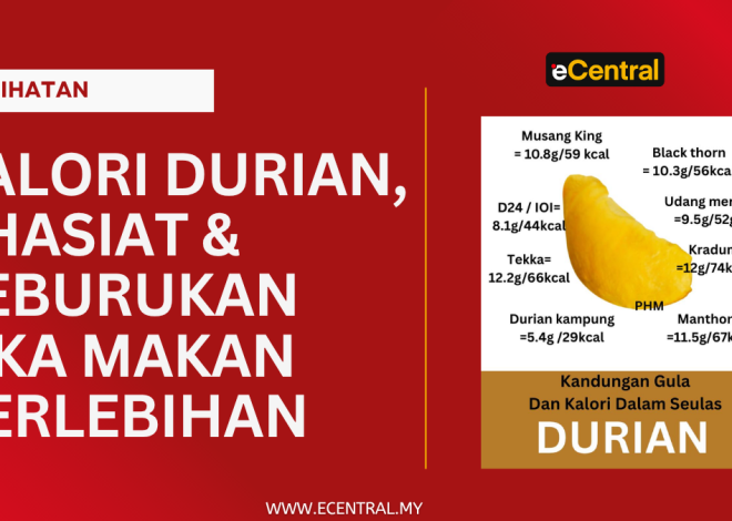 Durian calories, nutrition & loss if overeating