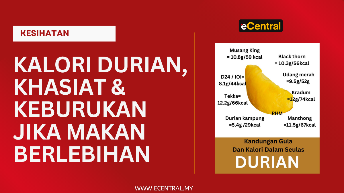 Durian calories, nutrition & loss if overeating