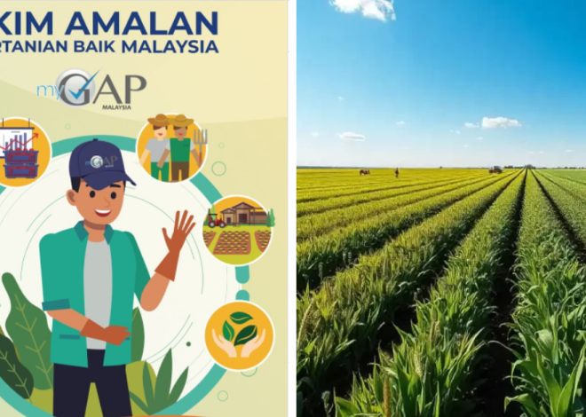 Purpose, Benefits & How to Application