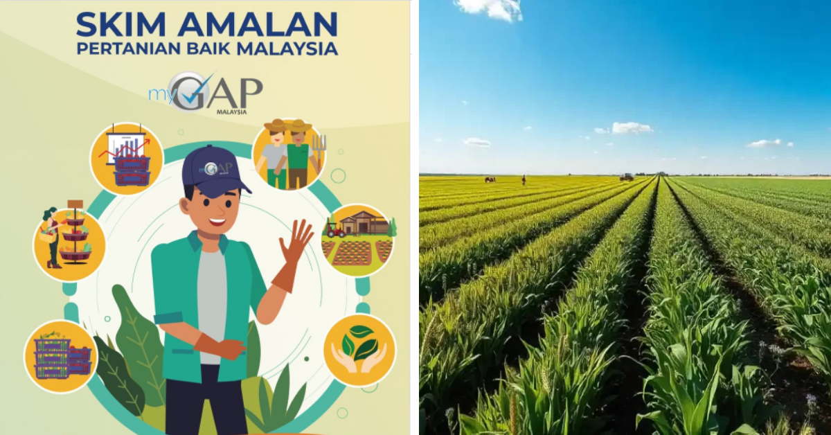 Purpose, Benefits & How to Application