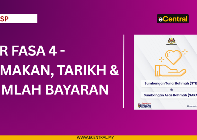 Stress phase 4 – Total & Total Payment (2025)